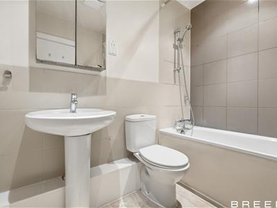 Picture 17